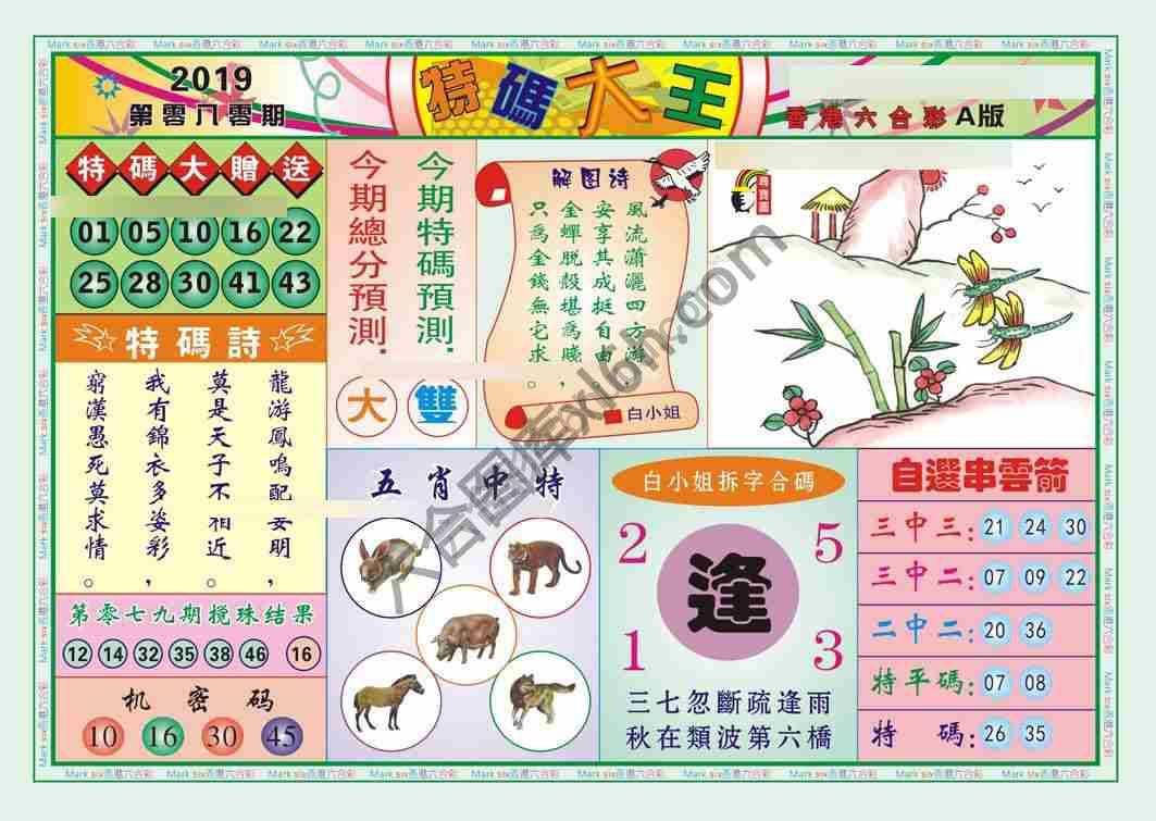 特码大王