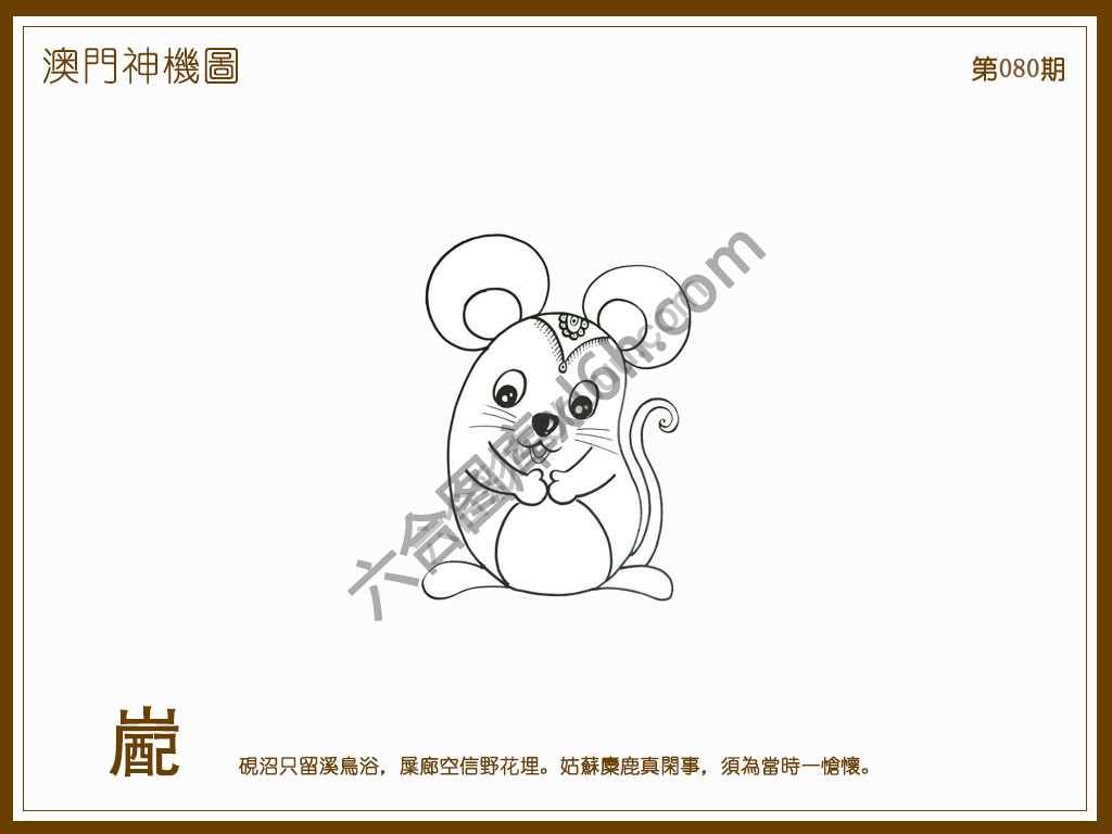 澳门神机图