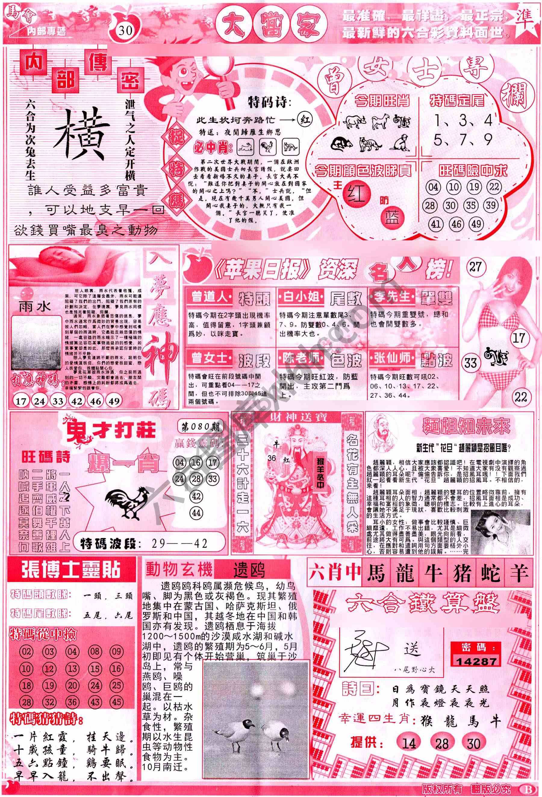 大当家
