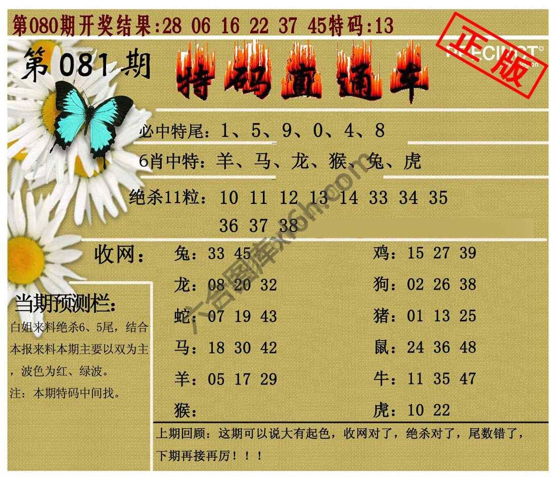 特码直通车