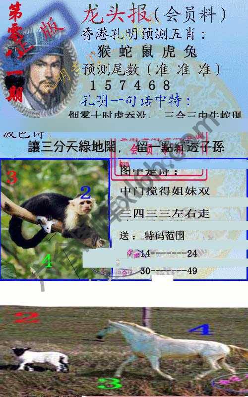 龙头报