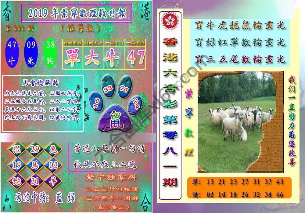 数理救世报