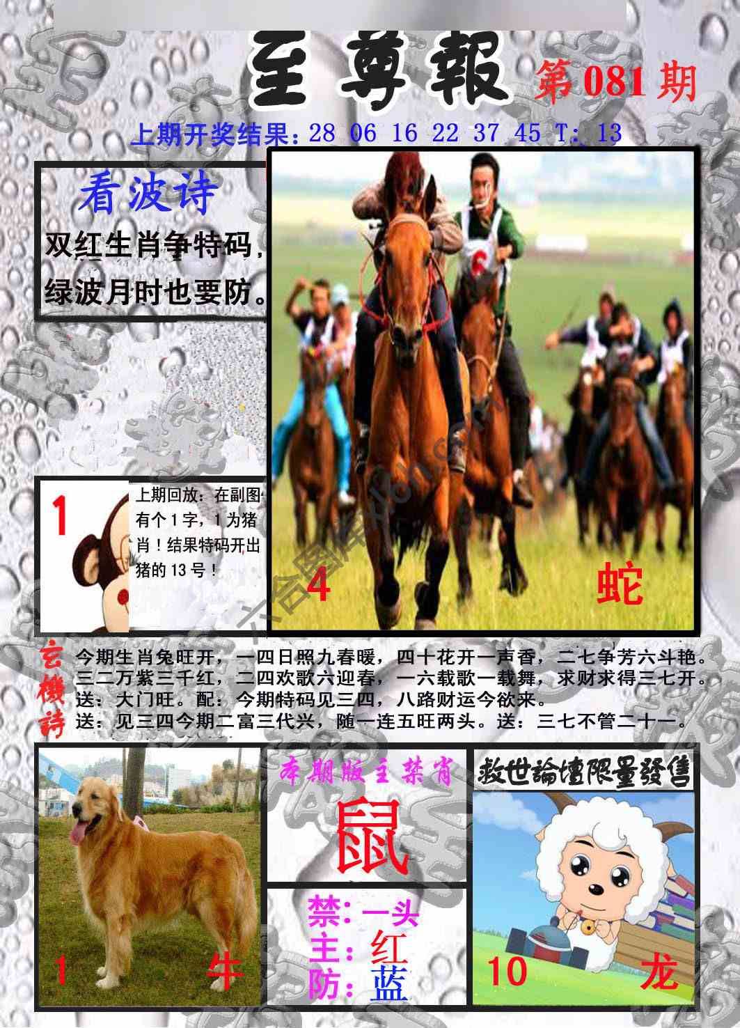 至尊报