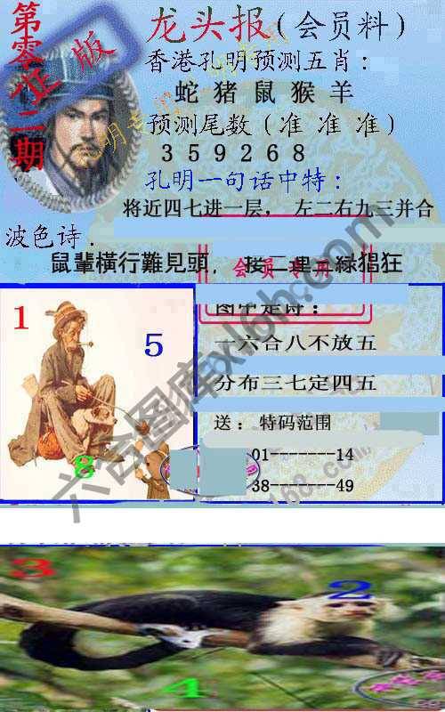 龙头报