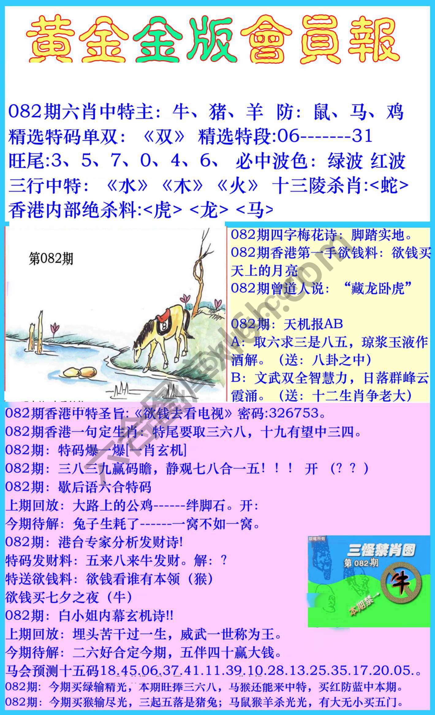 黄金金版会员报