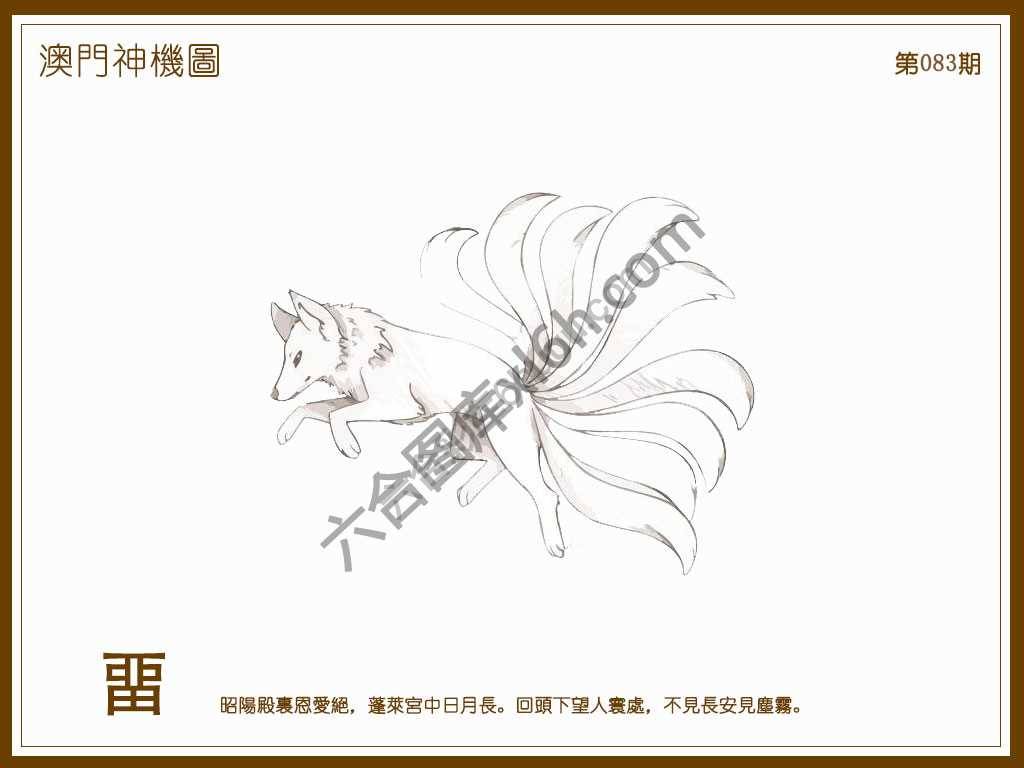 澳门神机图