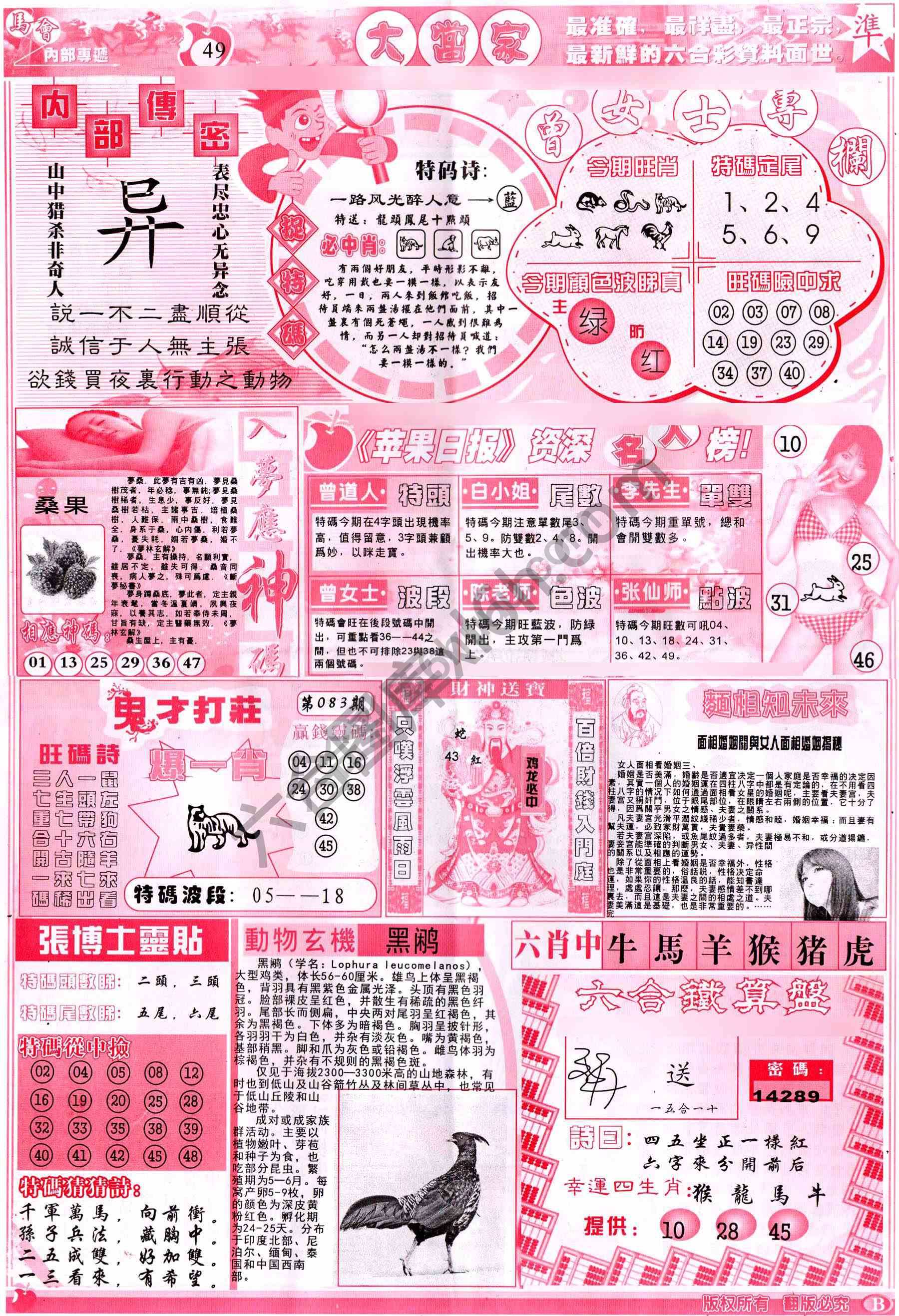 大当家