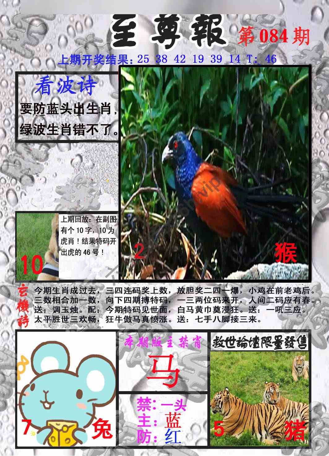 至尊报