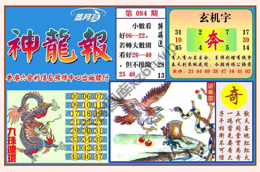 蓝月亮神龙报