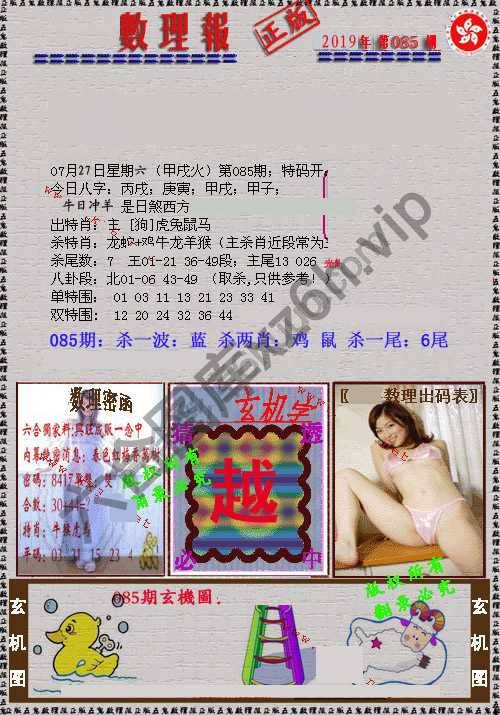 数理报