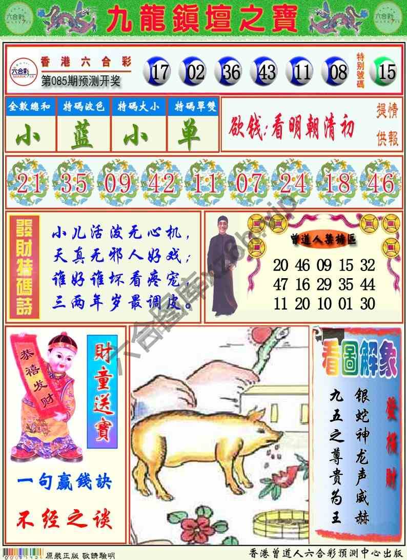 九龙挂牌解特码