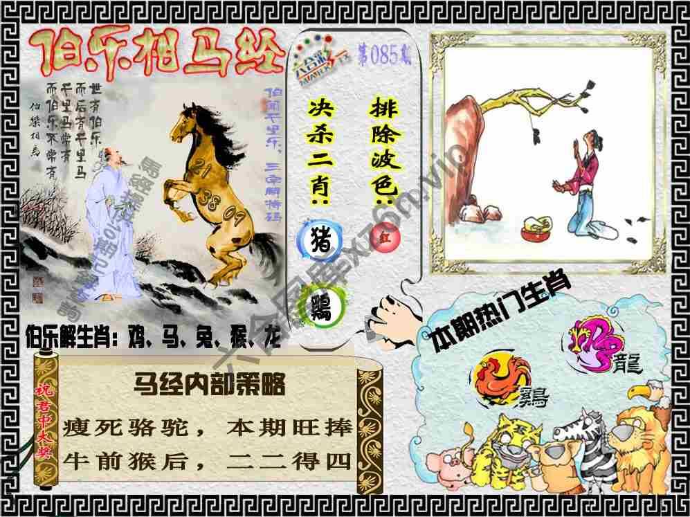 伯乐相马经