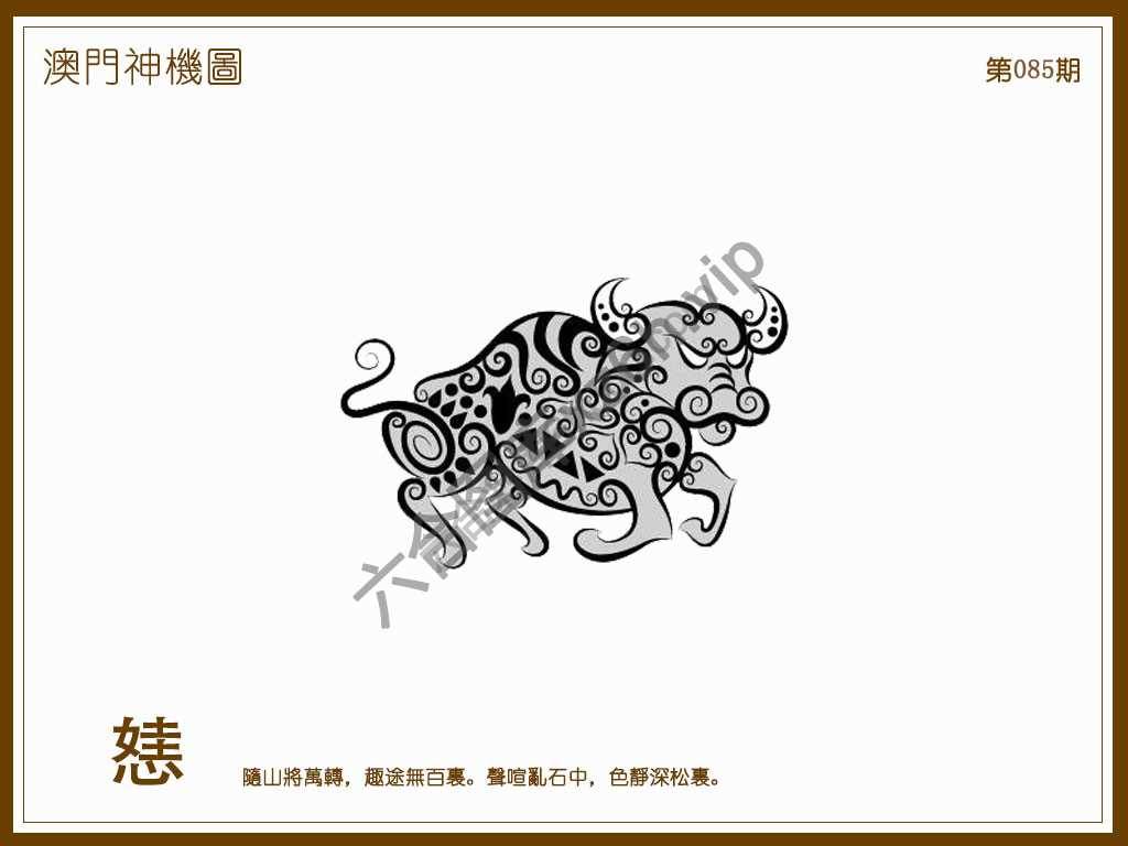 澳门神机图