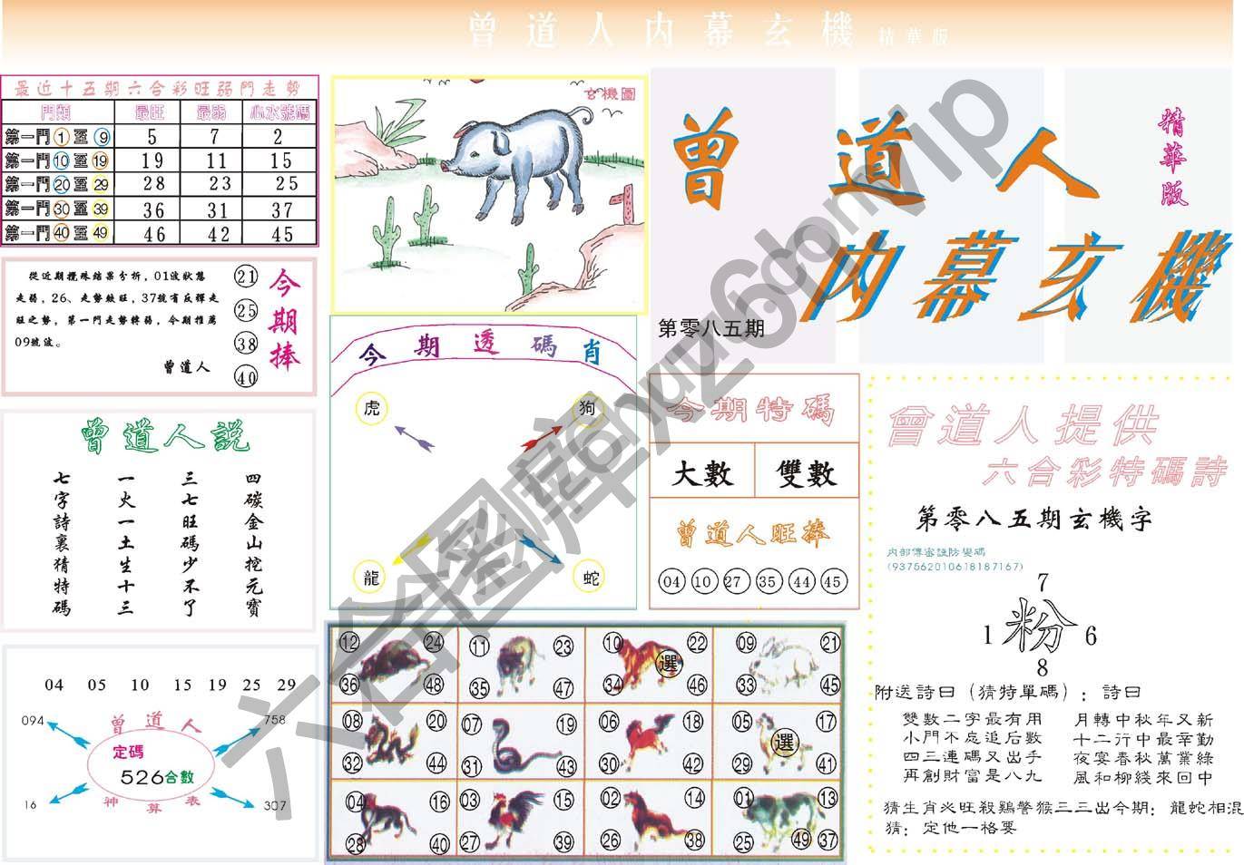 曾道人内幕玄机(精华版)