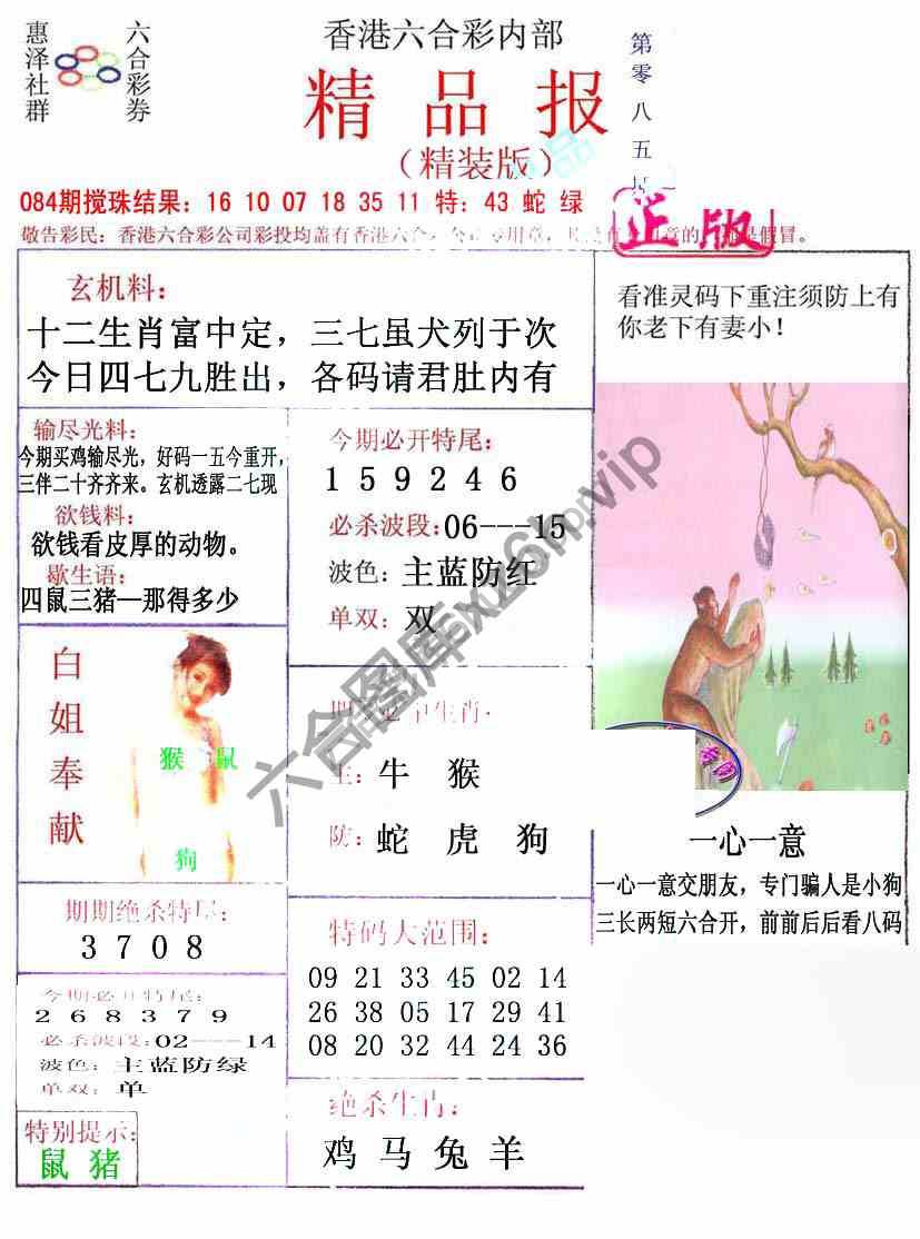新精品报