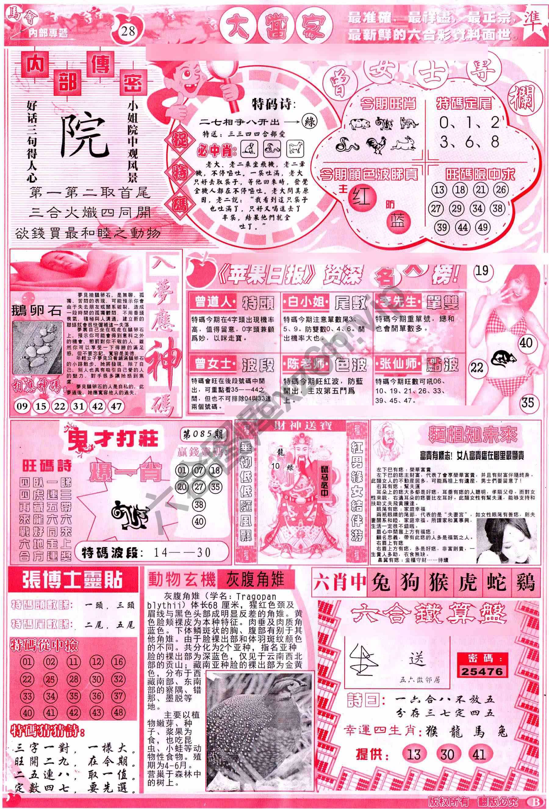 大当家