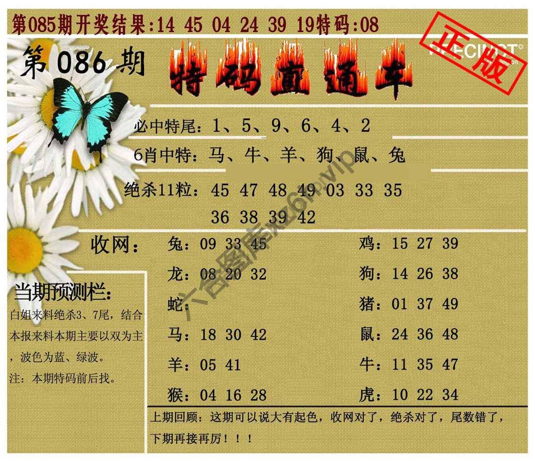 特码直通车