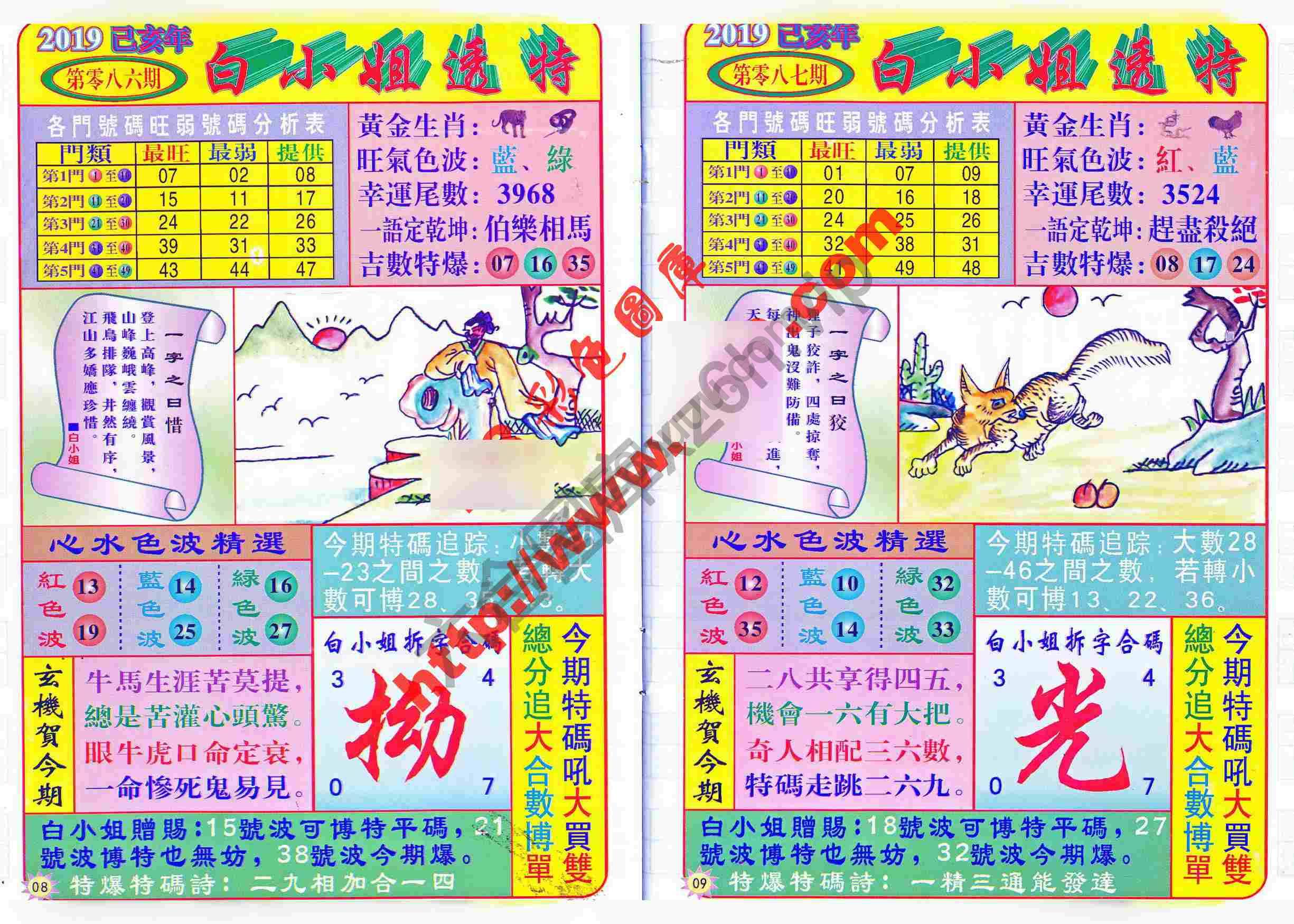白小姐透特