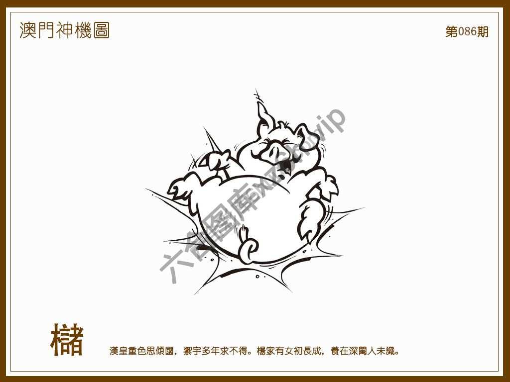 澳门神机图