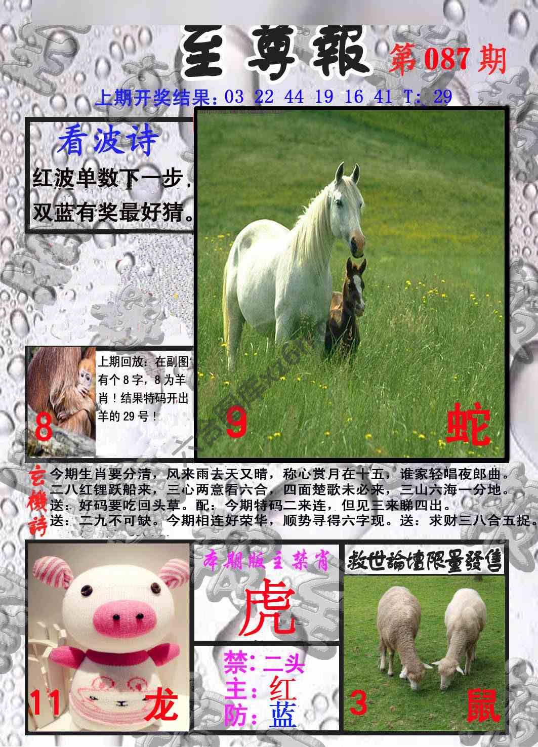 至尊报