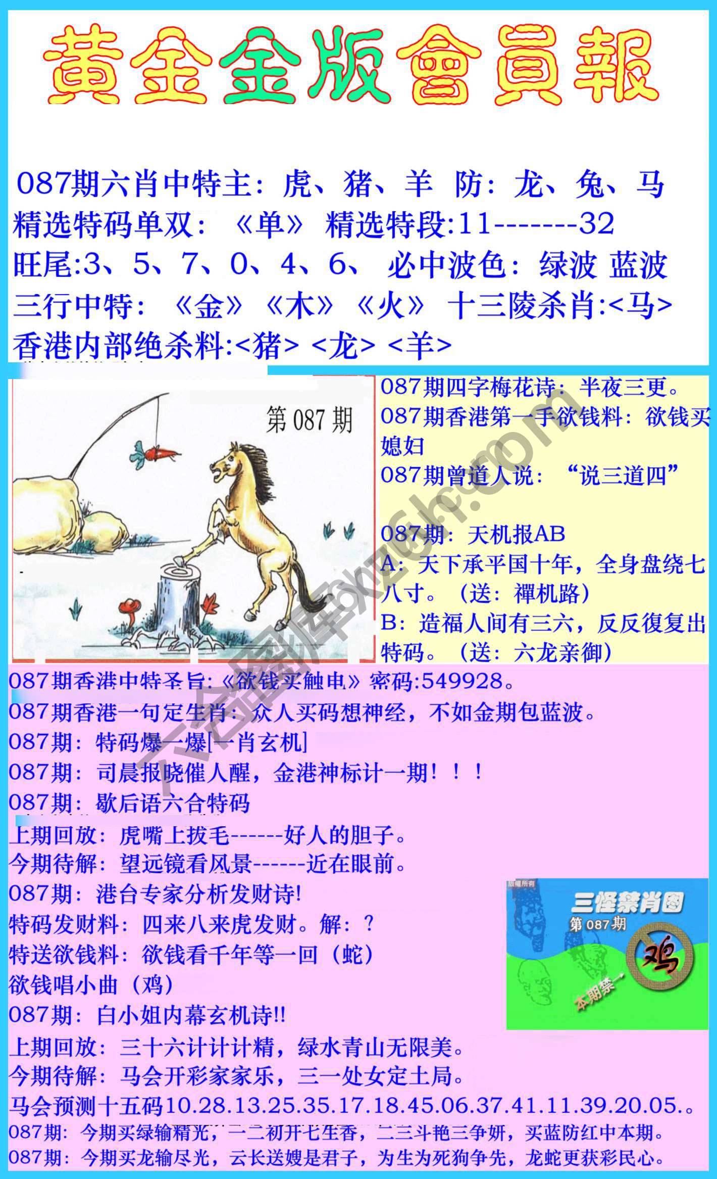 黄金金版会员报