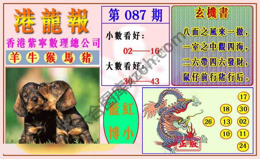 港龙报
