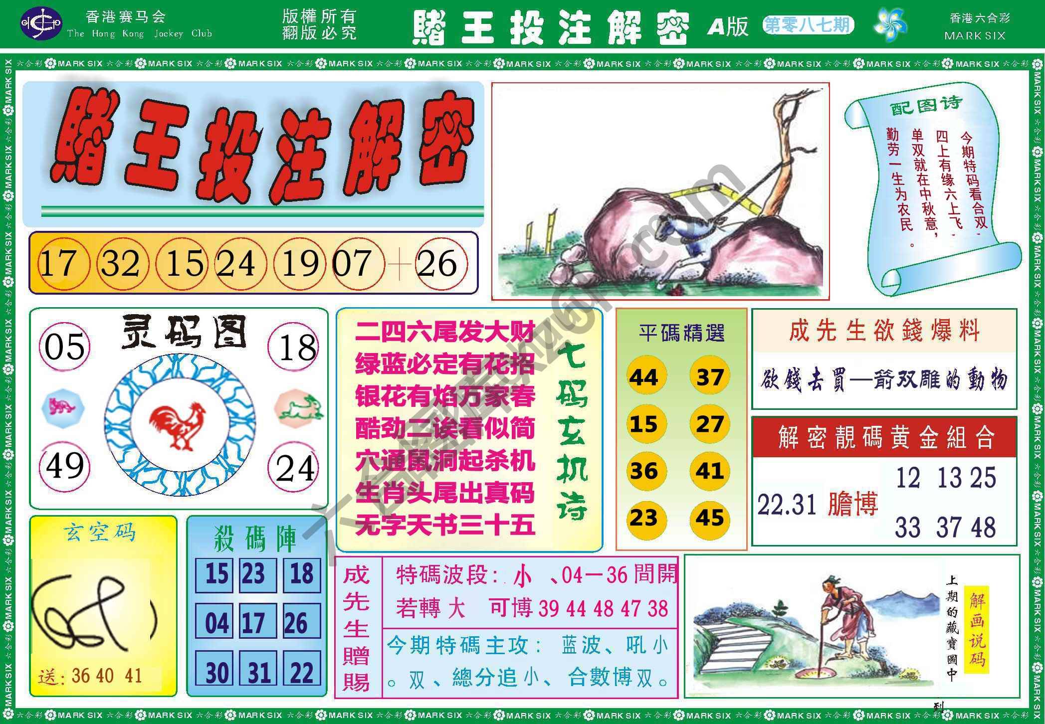 赌王投注解密