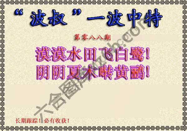 波叔一波中特
