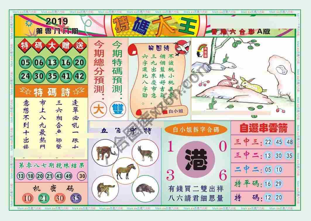 特码大王