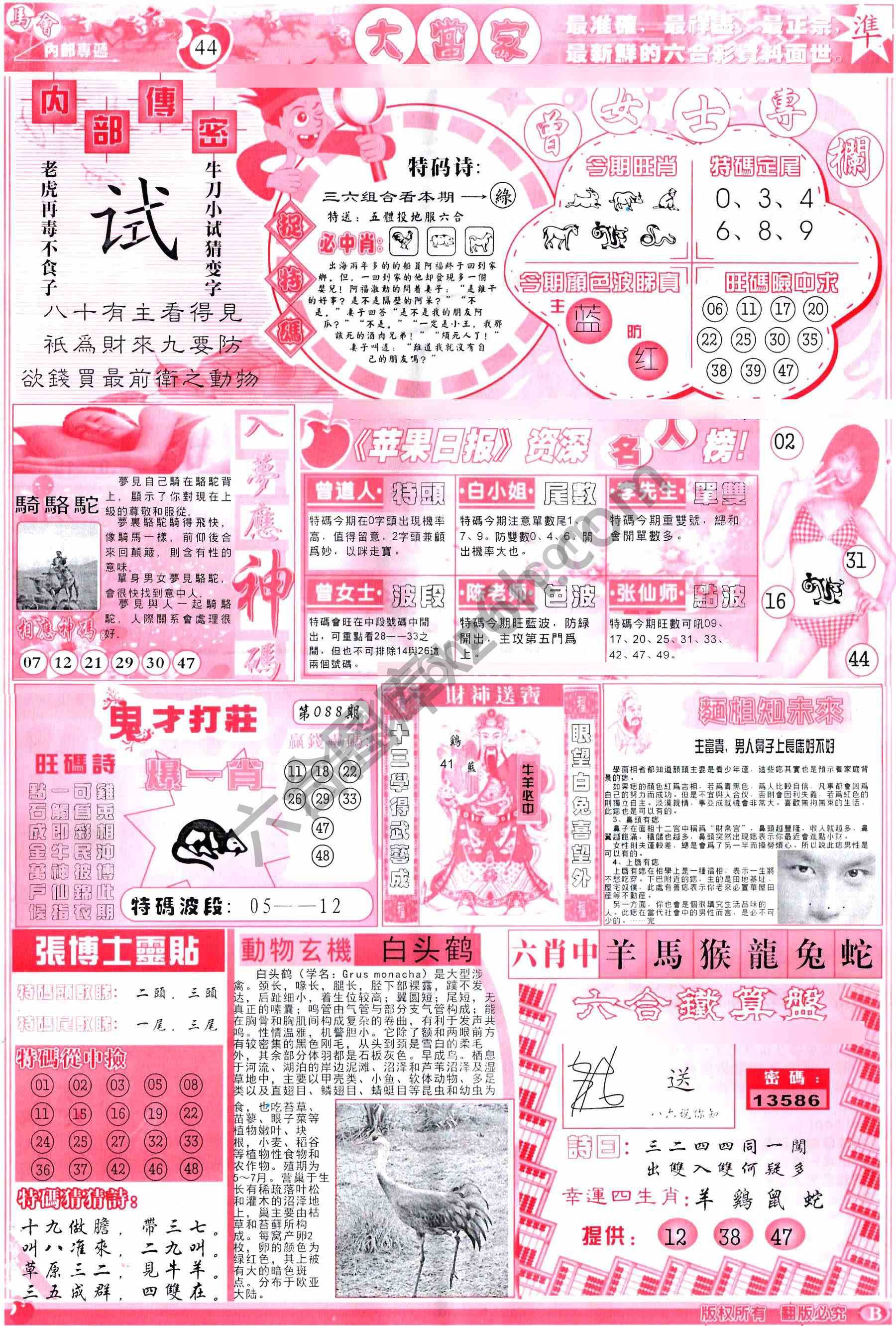 大当家