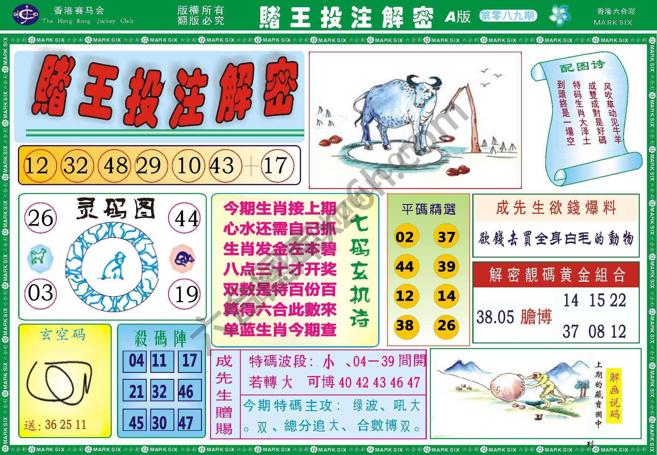 赌王投注解密