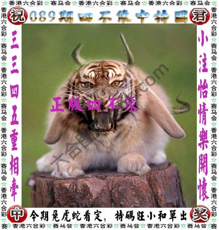 四不像中特图