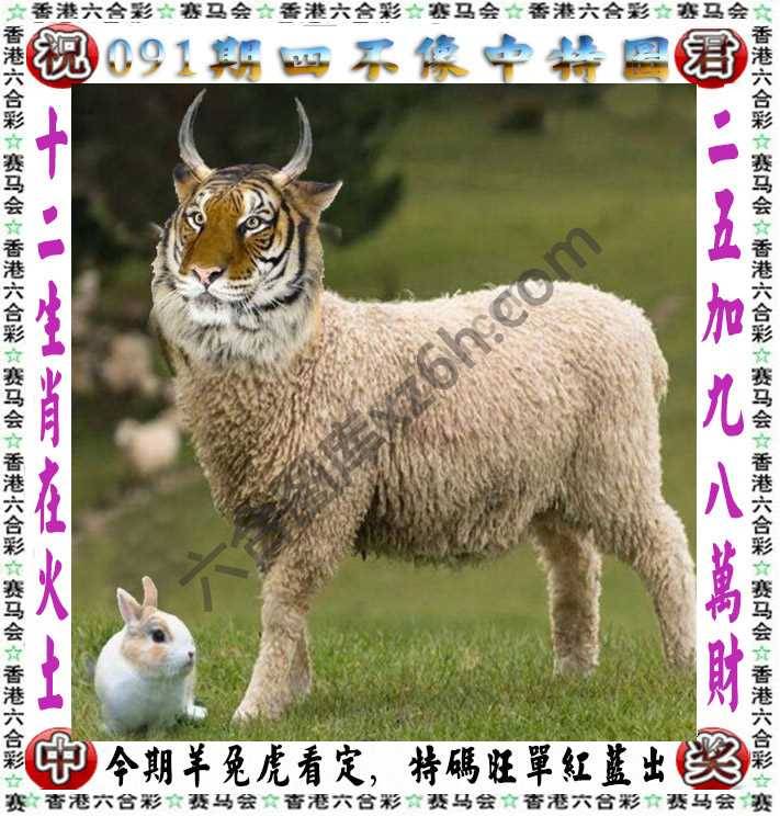 四不像中特图