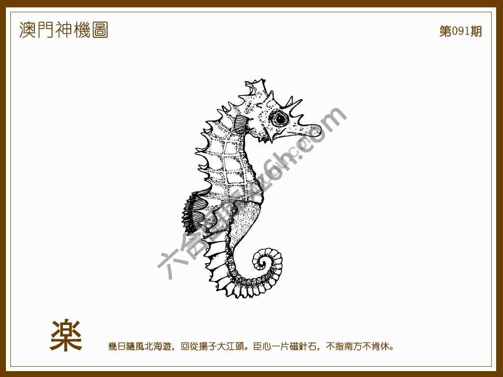 澳门神机图
