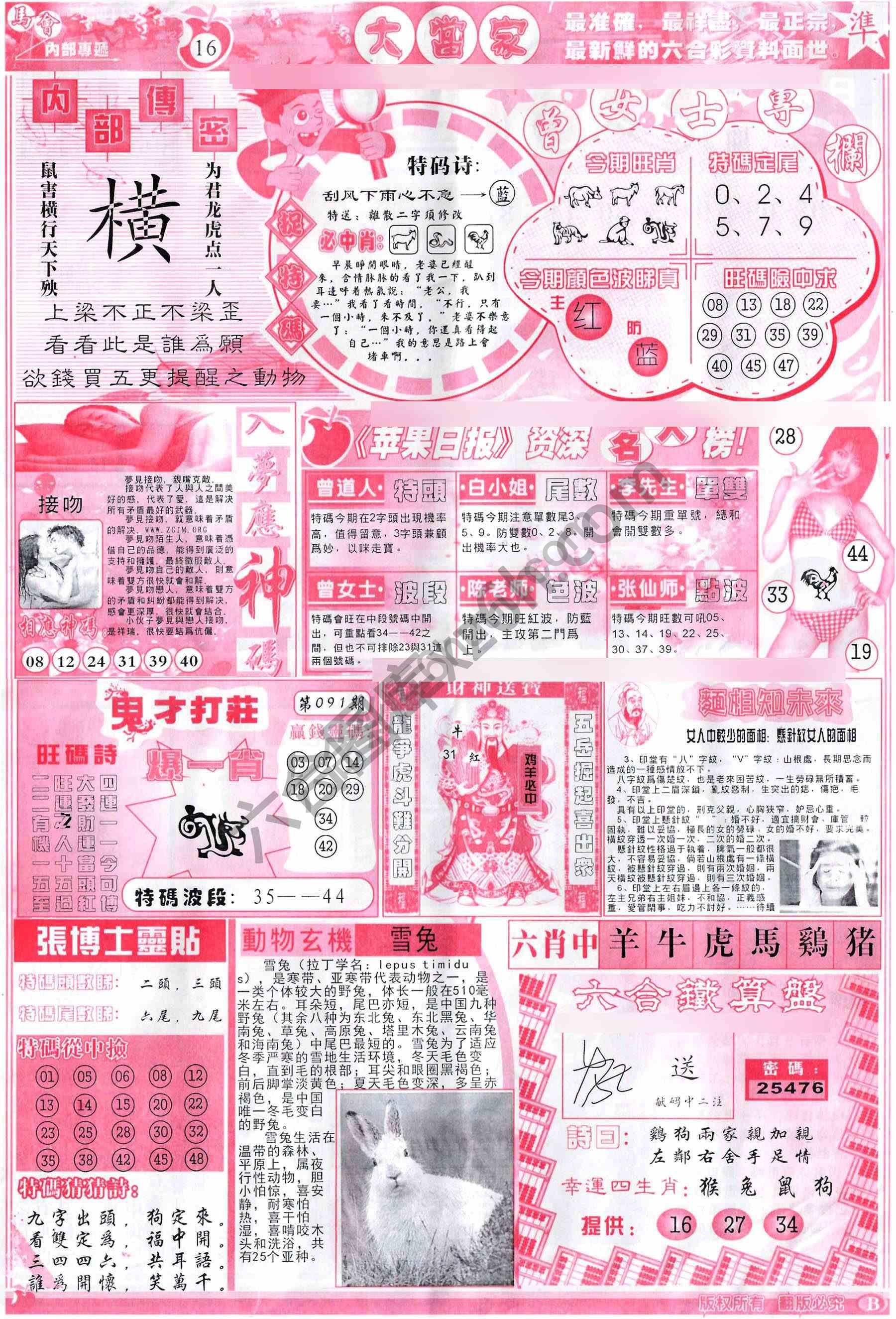 大当家