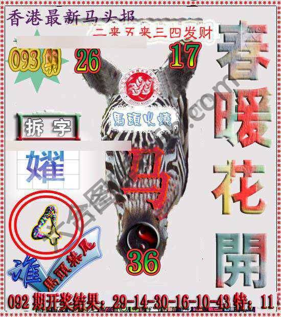 香港马头报