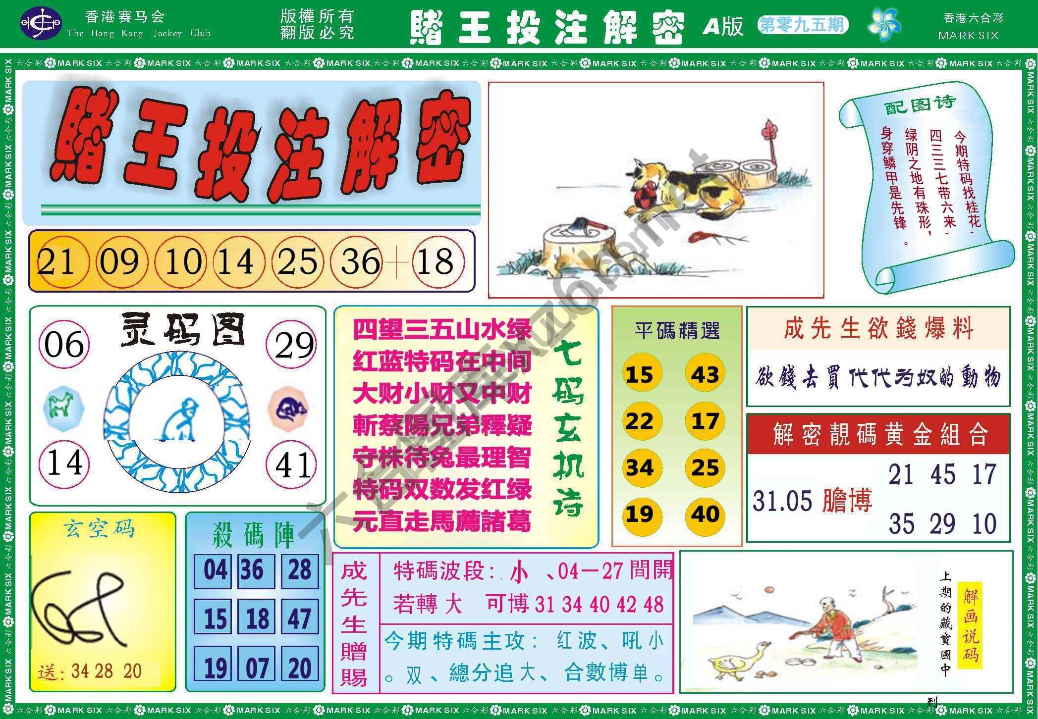 赌王投注解密