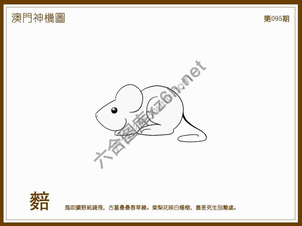 澳门神机图