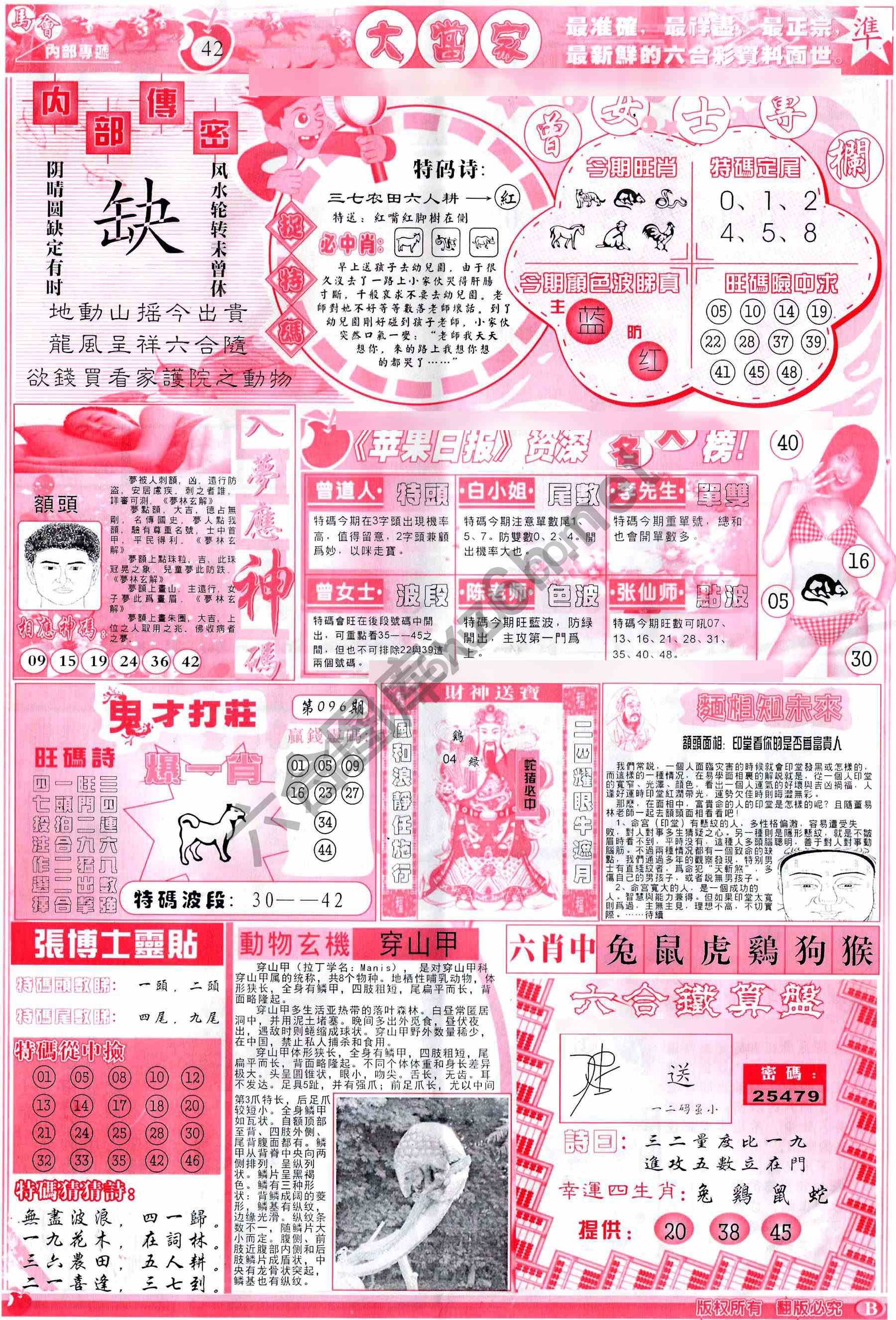 大当家