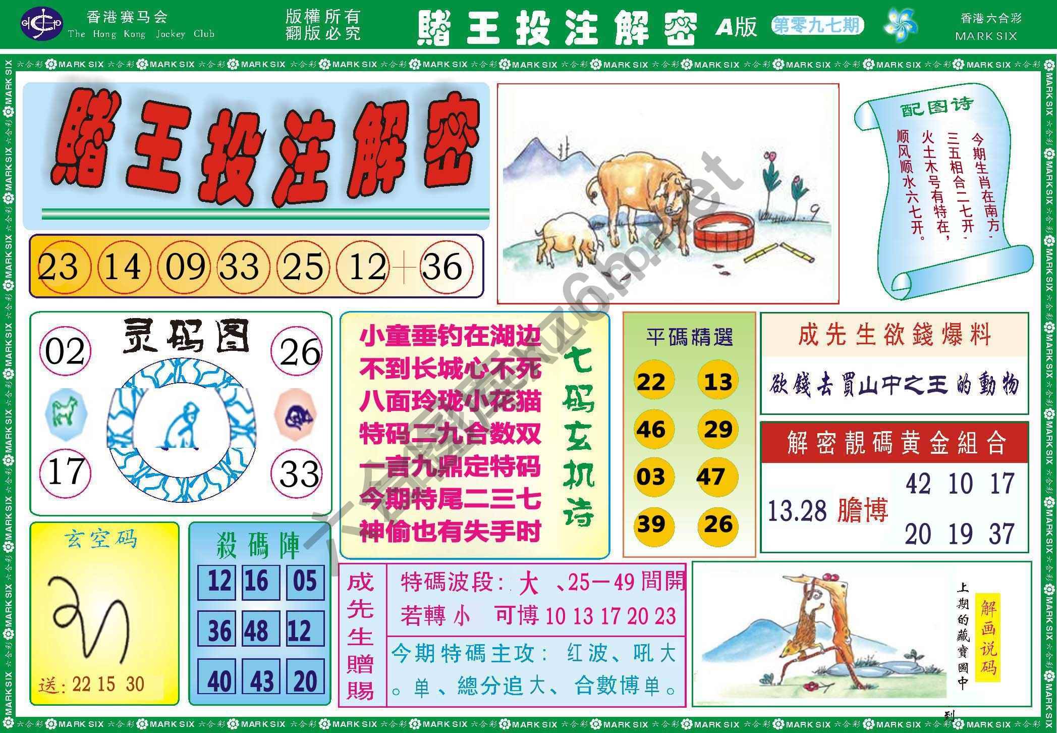 赌王投注解密
