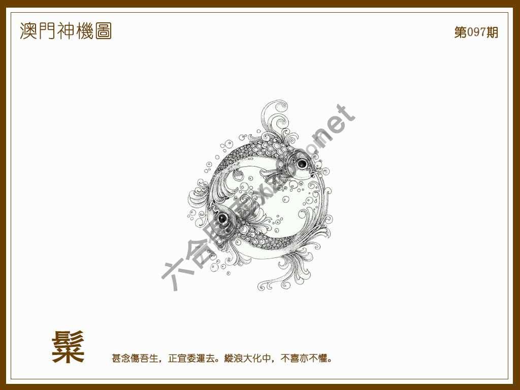 澳门神机图