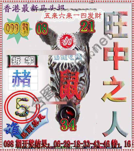 香港马头报