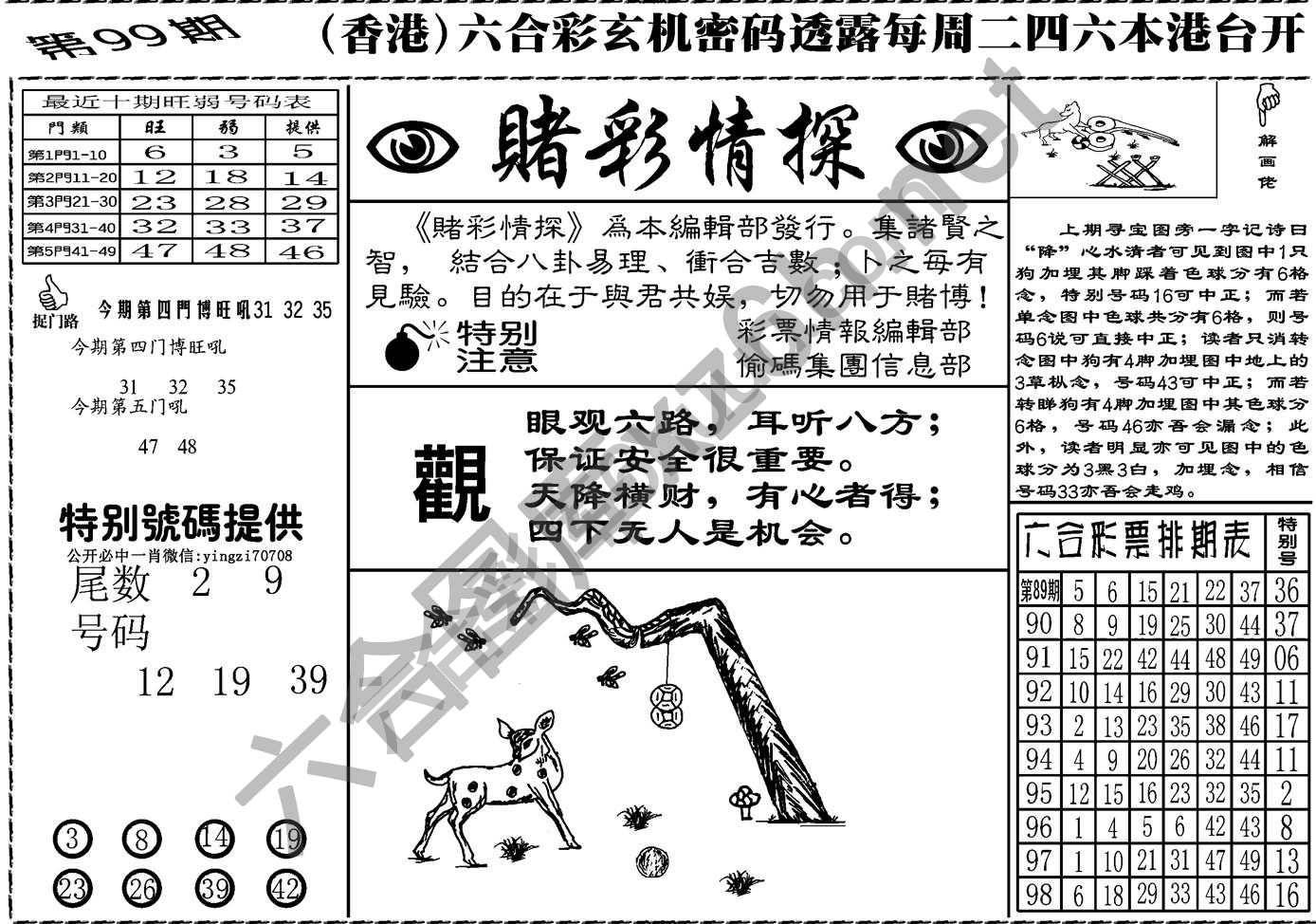 赌彩情探