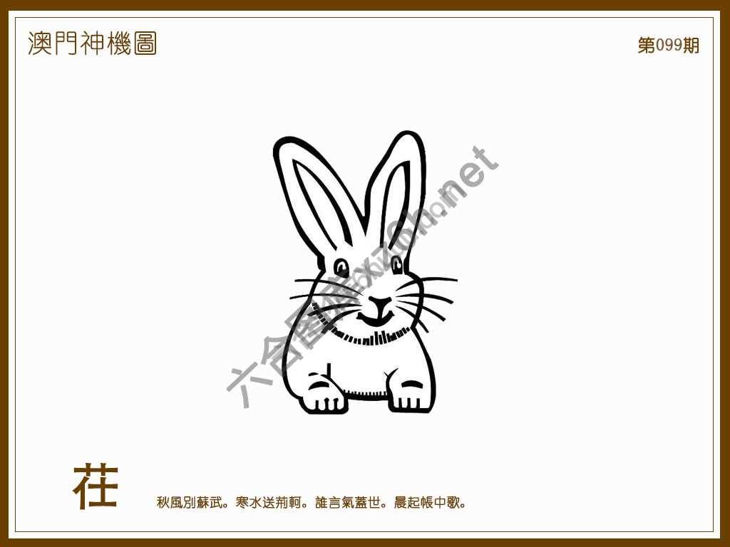 澳门神机图