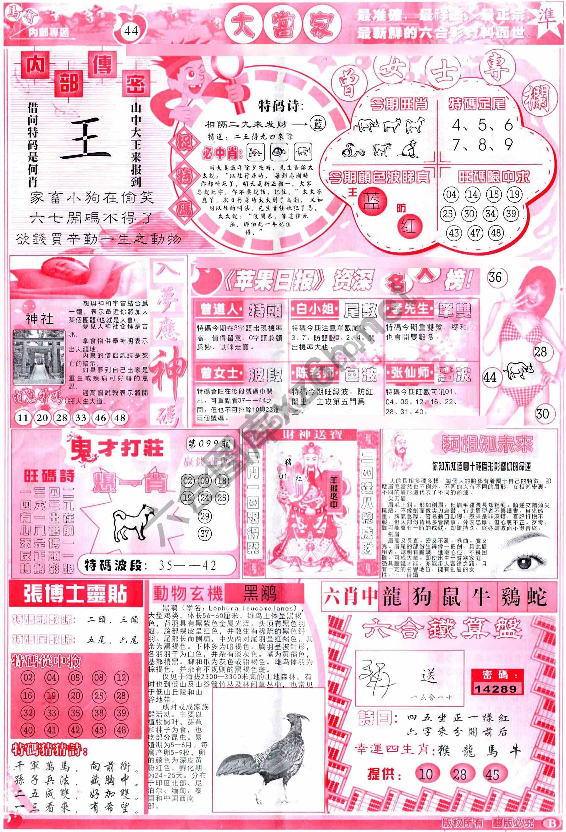大当家