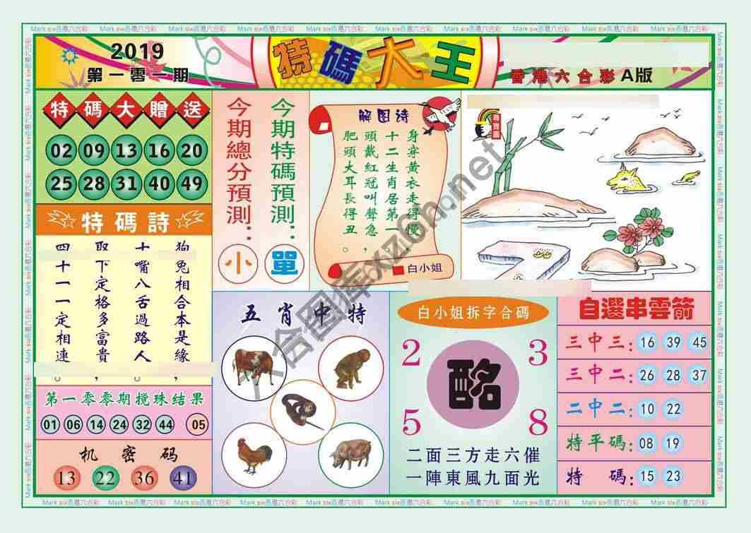 特码大王