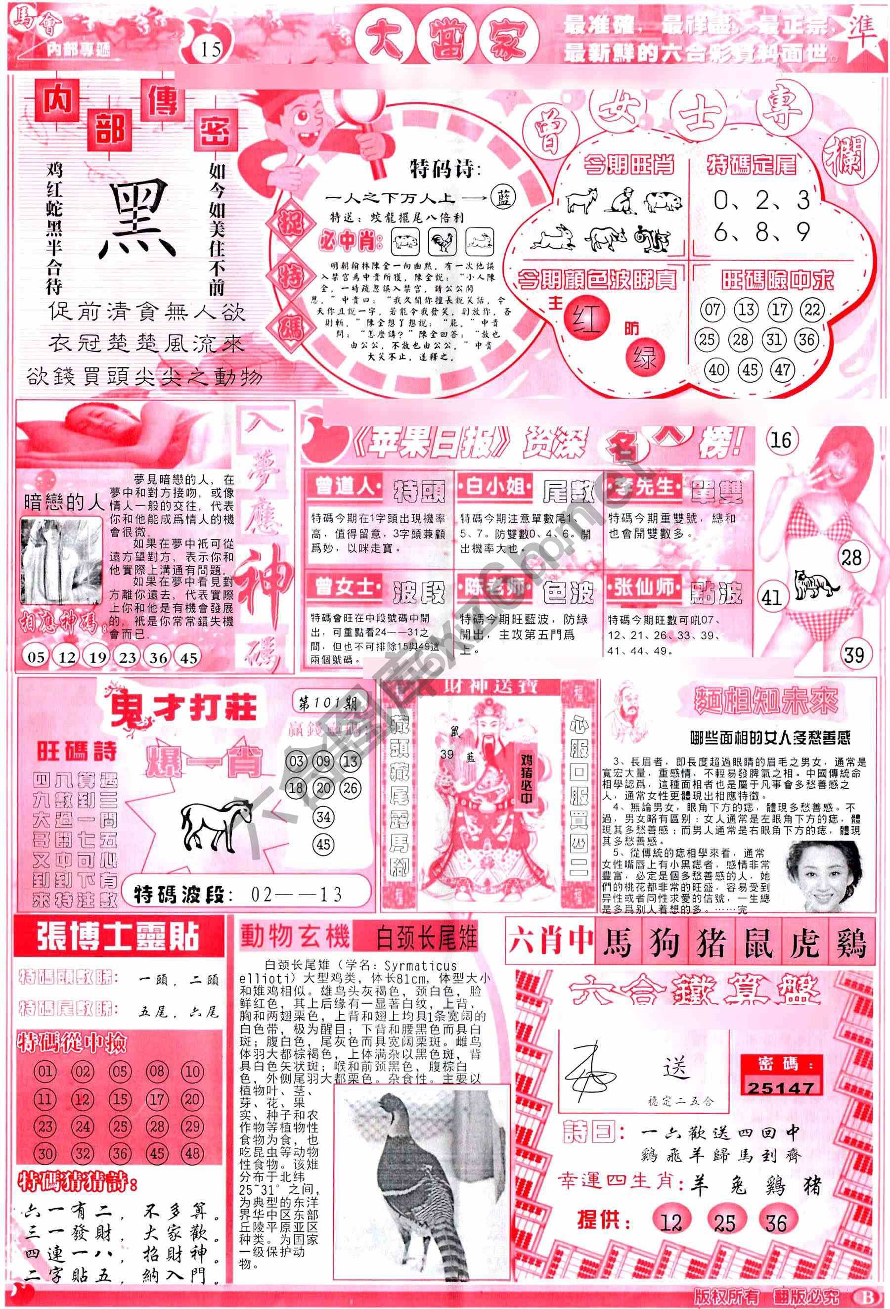 大当家