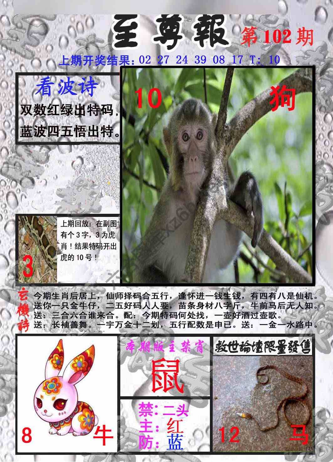 至尊报
