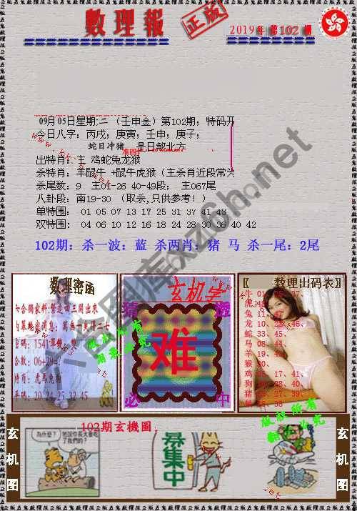 数理报