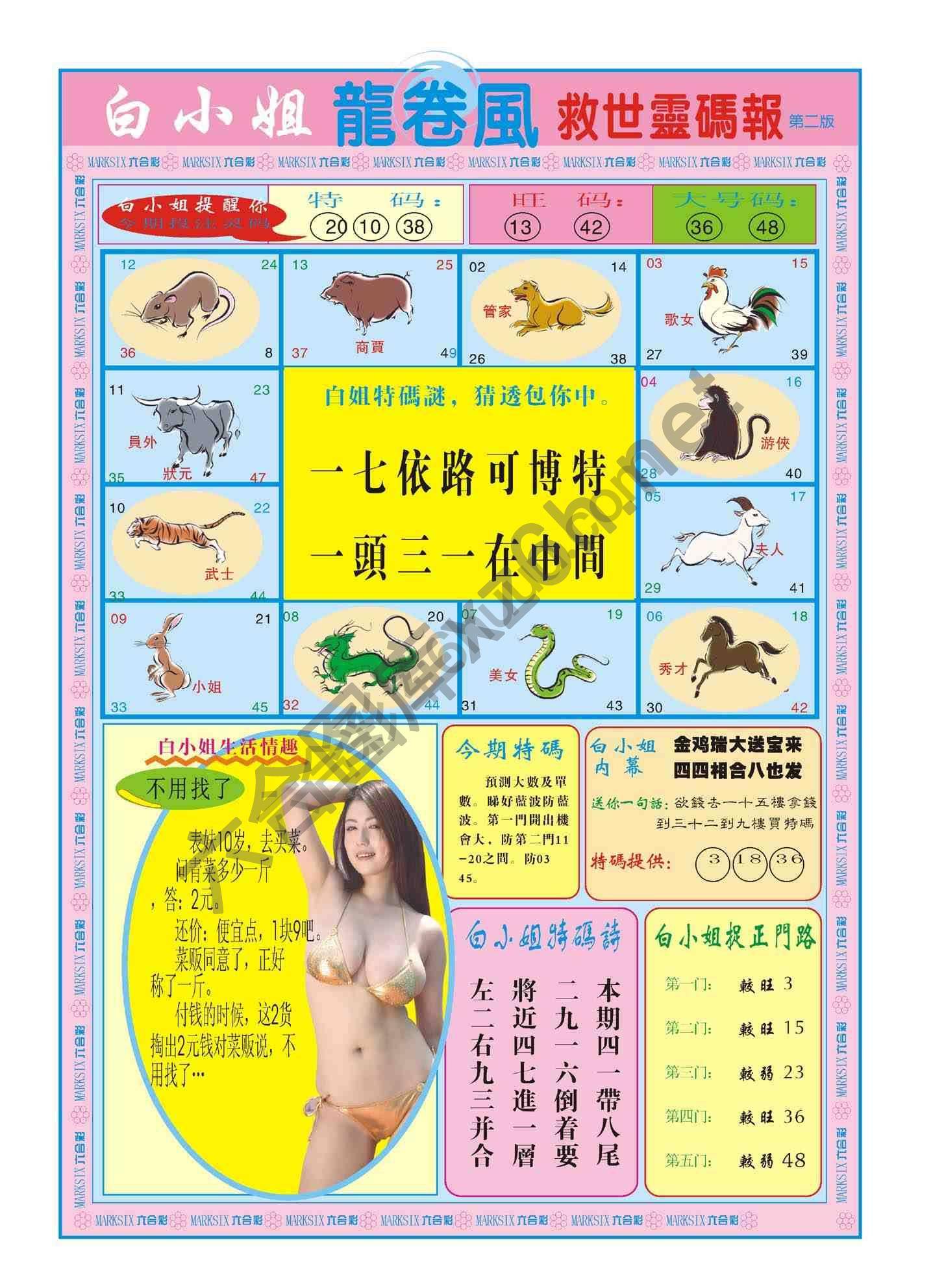 白小姐救世灵码报